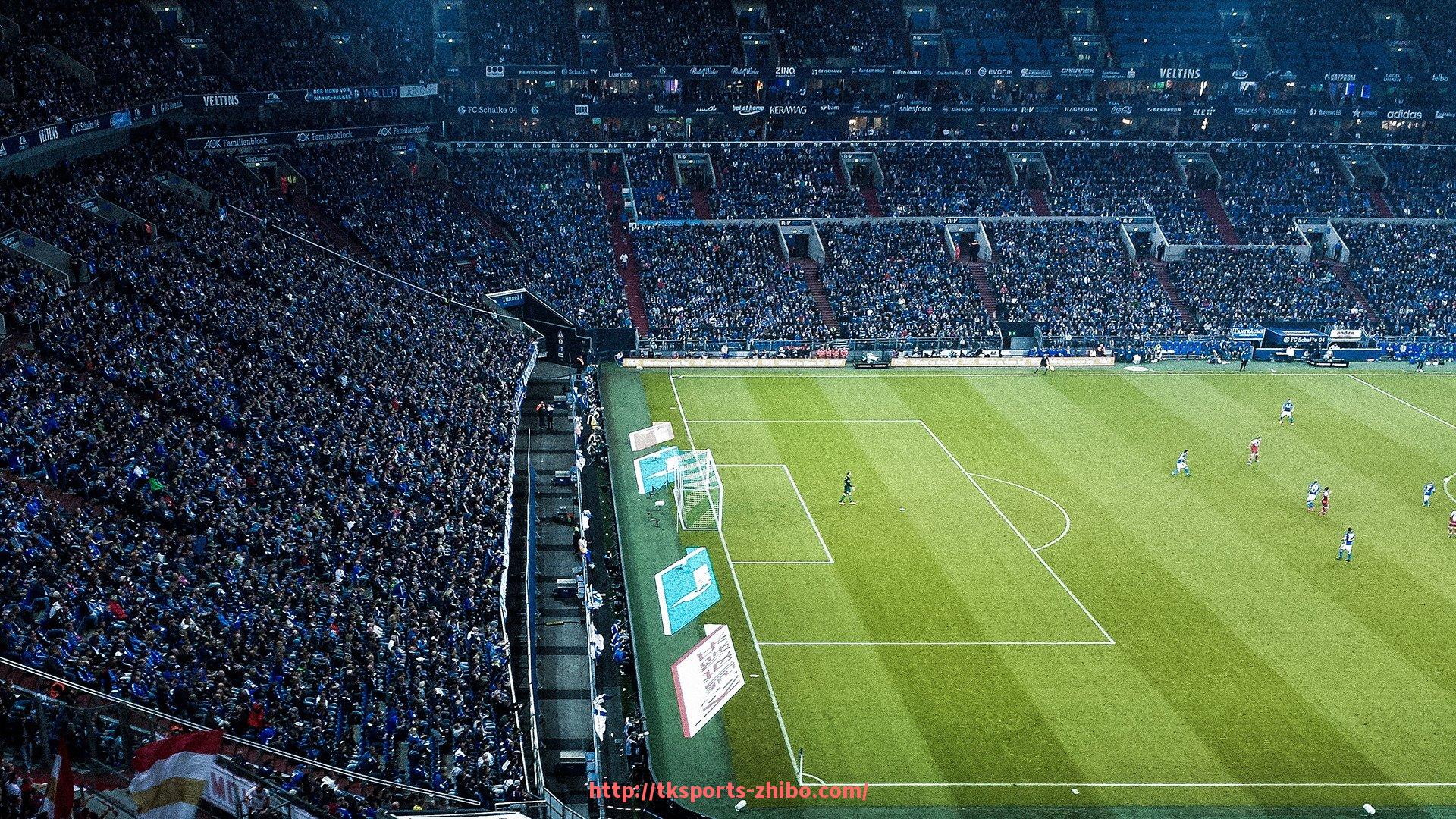 TK体育直播-意甲球队出征费用预算情况及财政分布分析